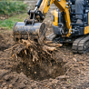 REMOVE TREE ROOTS